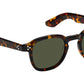 Momza Sun Tortoise