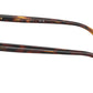 PH4221 613773 Brown Tortoise