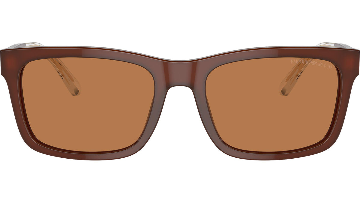 EA4224 609573 Brown