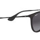 Erika Classic RB4171 matte black