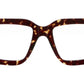 D73 TTO Tortoise