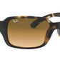 RB4068 tortoise