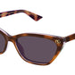 GG1815S 004