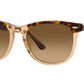 Eagleeye RB2398 1292M2 tortoise