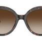 San Lucas MK2214U 300613 Dark Tortoise