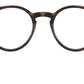 RY1594 3685 Tortoise