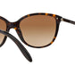 RA5160 510/13 Dark Tortoise