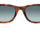 Wayfarer Ease RB4340 tortoise blue