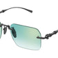 GG2154S 004