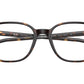 Leonard Optics RB5393 2012