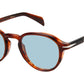 DB 7078/S EX4 QZ Brown Horn