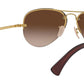 Aviator RB3449 001/13 Gold Brown