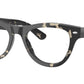 RB5510 Optics 8117