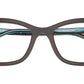 RB5433 Optics 8366