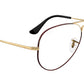 Aviator Optics RB6489 3175