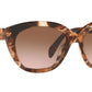 PR 16XS havana caramello