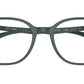 RB7397 Optics 8062