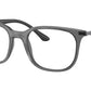 RB7211 Optics 8205