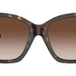 TF4216 80153B Havana