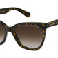 MARC 500/S 086 havana
