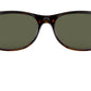 New Wayfarer Classic RB2132 tortoise
