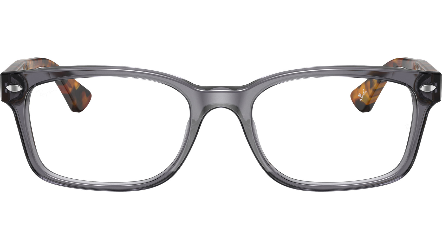 RB5286 Optics 5629