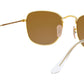 Frank RB3857 919633 legend gold