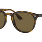 RB4259 710/73 light havana