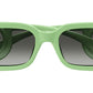 GG1325S 004
