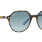 Thalia RB2195 13163M havana on light blue