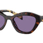 PR A02S 17N50B Tortoise