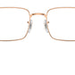 RB6520 Optics 3094
