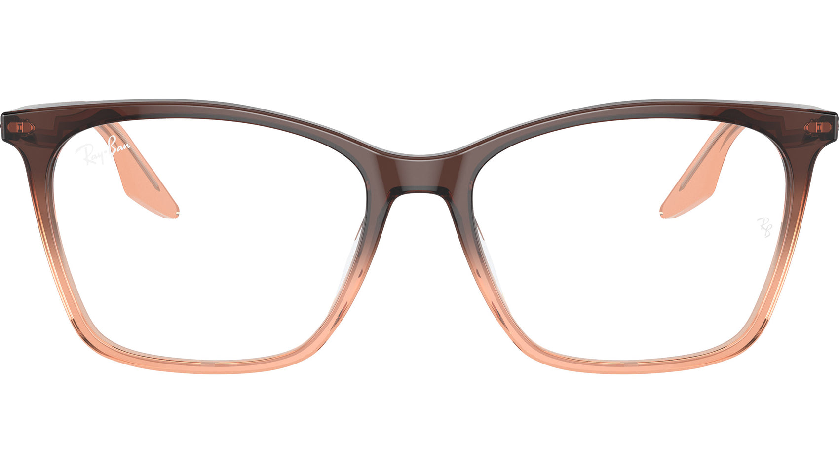 RB5422 Optics 8312