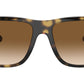 Boyfriend Two RB4547 710/51 Havana Brown