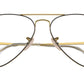 Aviator Optics RB6489 2890