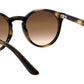 RJ9064S For Kids tortoise