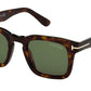 Dax FT0751 52N Tortoise