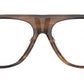 Paul Newman OV5581U 1724