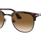 PO3105S havana brown