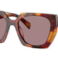 PR 15WS 22A20I