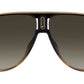 CHAMPION65/N DCC black shaded brown