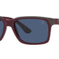 RB4393M F67980 black