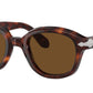 PO0060S 24/57 Tortoise