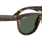 Wayfarer Reverse RBR0502S 6790VR Dark Havana