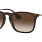 Chris RB4187 tortoise
