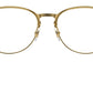 RB6375 Optics 2890