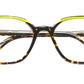 NIAGARA HVYW Tortoise