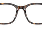 AR 7229 5879 Tortoise