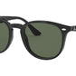 RB4259 black and green