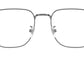 RB8776D Optics 1000